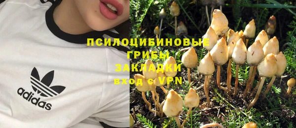 ПСИЛОЦИБИНОВЫЕ ГРИБЫ Верея