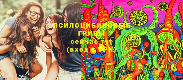 бошки Волоколамск