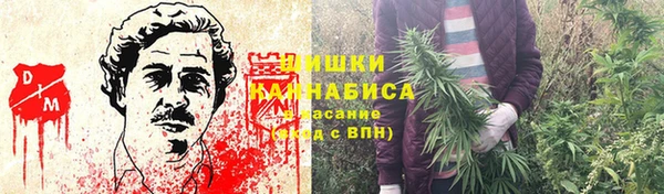 ПСИЛОЦИБИНОВЫЕ ГРИБЫ Верея