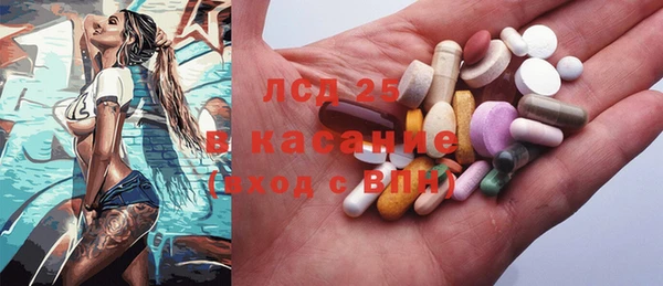 ПСИЛОЦИБИНОВЫЕ ГРИБЫ Верея