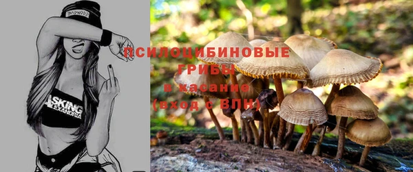 ECSTASY Володарск