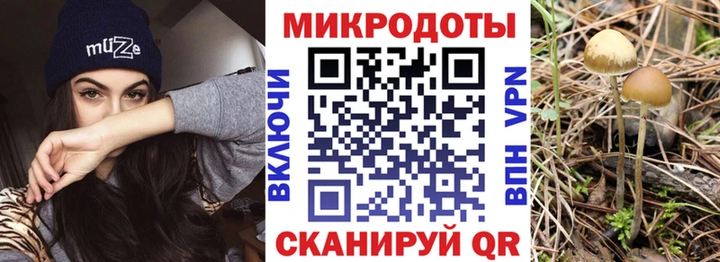 что такое   Красногорск  Псилоцибиновые грибы Magic Shrooms 