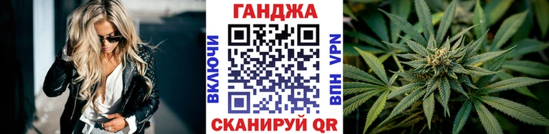 наркота  Красногорск  Каннабис сатива 